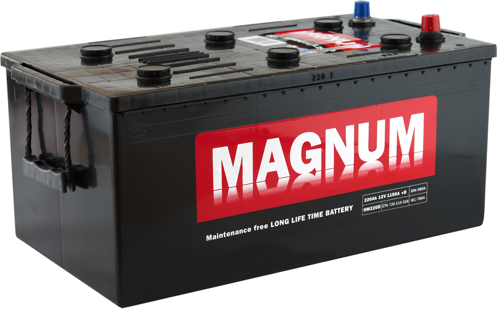 Magnum akumulator 220ah L+